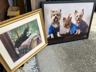 Pet portrait