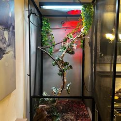Chameleon Set Up Cage