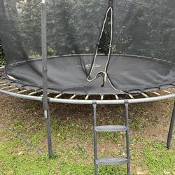 Trampoline