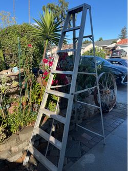 Ladder 8 Fts tall