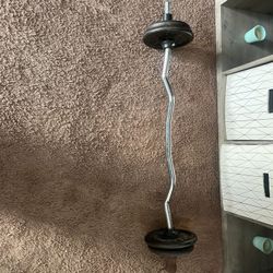 Olympic Curl Bar