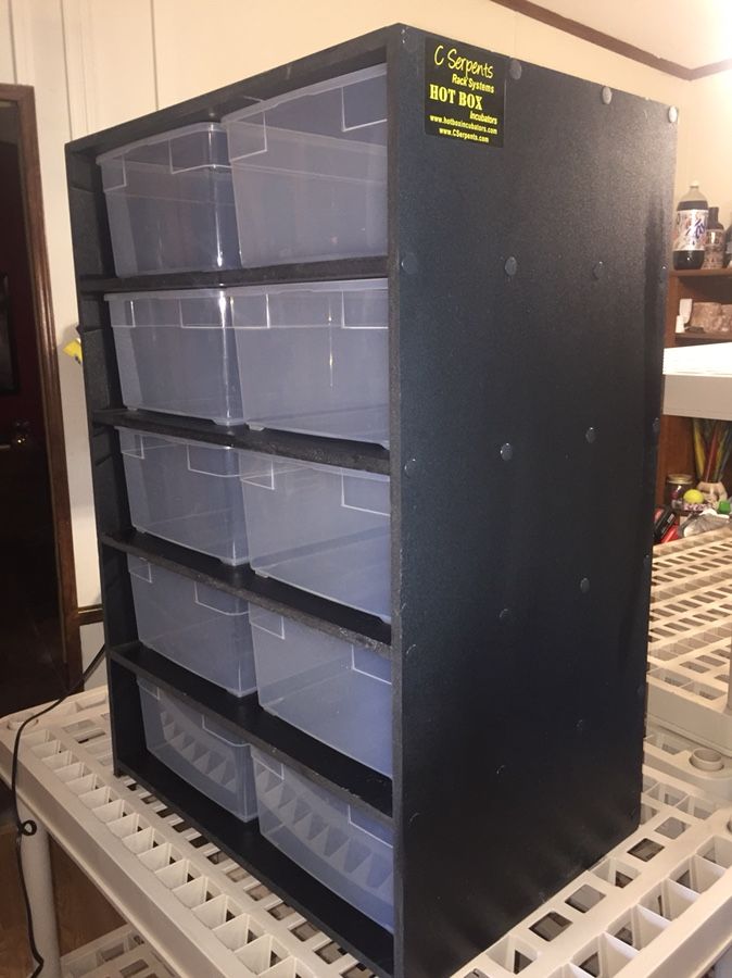 C Serpent Snake Rack