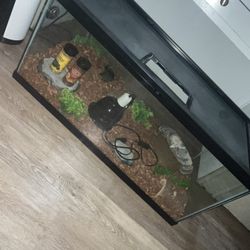 Reptile/turtle Enclosure