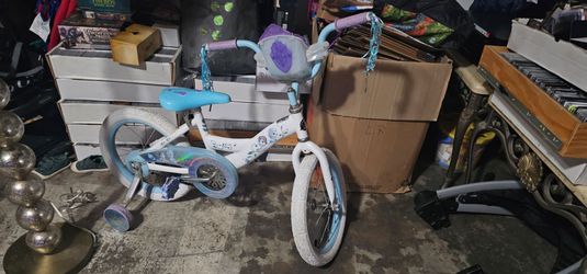 Princess Bike