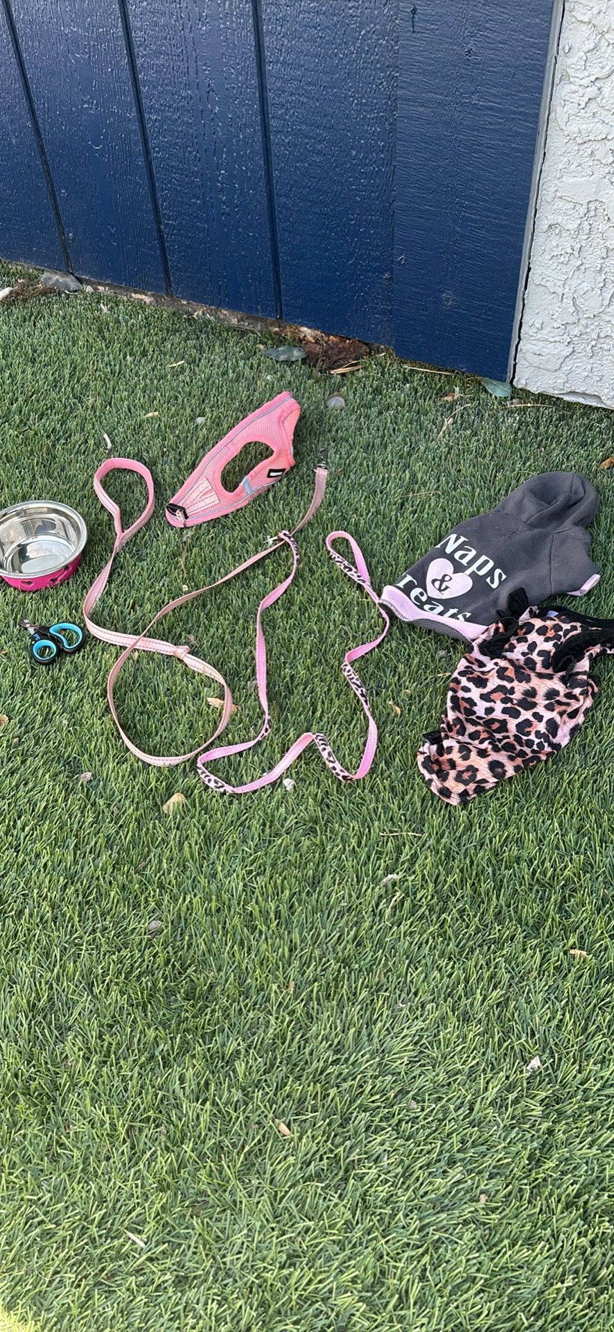 Small puppy clothes, leash harness, nail clipper and bowl