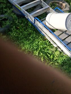 Ladder