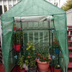 Green House 