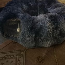 Cat Bed