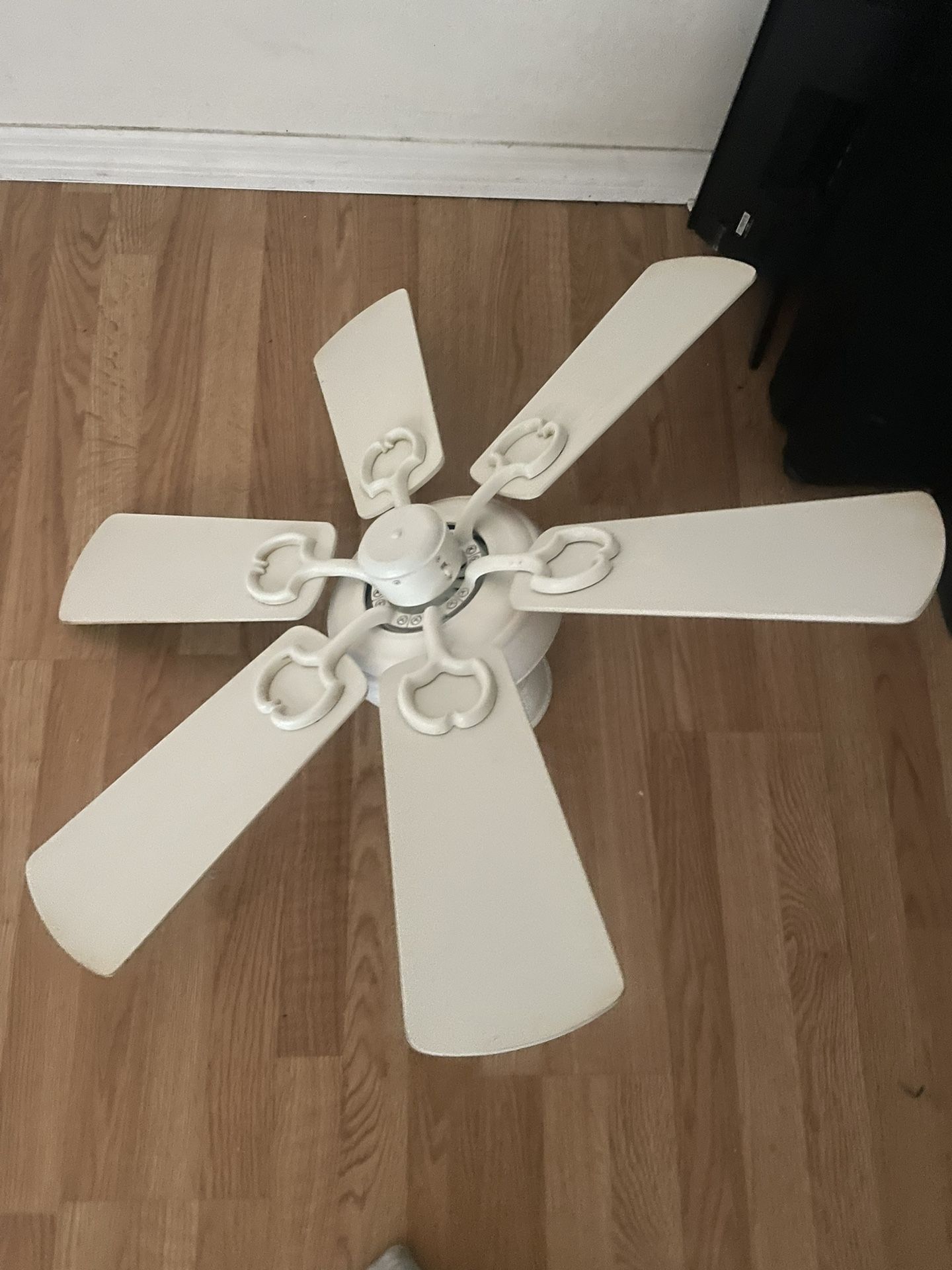 Ceiling Fan!