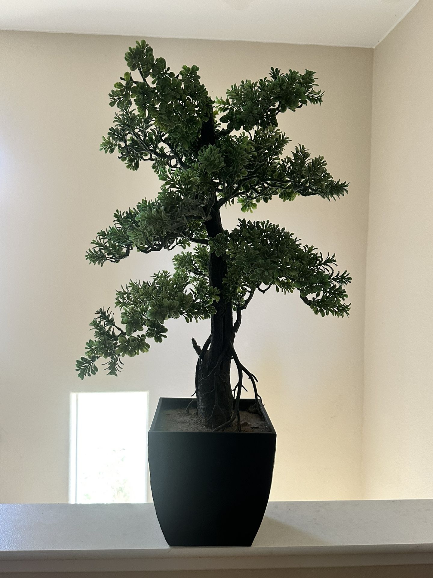Faux Bonzai Tree