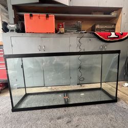 60 Gallon Tank - 4ft x 2 x 1 - XL FILTER and PUMP