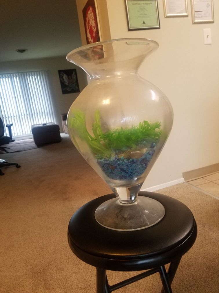 Large Glass Vase, Fish Tank