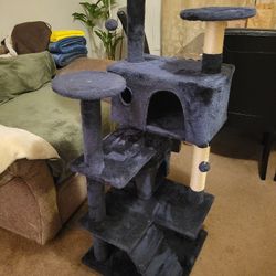 Dar blue cat tree