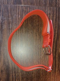 Sports Belt