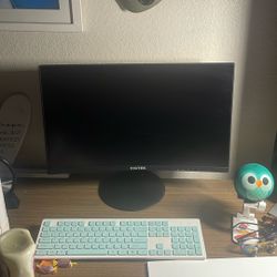 Viotek Computer Monitor