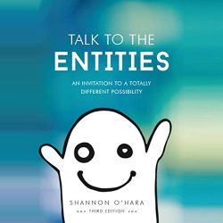 Talk To The Entities Spirit Book