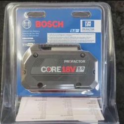 Bosch Battery 