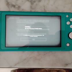 Nintendo Switch Lite With Charger 