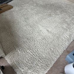 Beige/Ivory, Non-Shedding Area Rug - Price For new $250