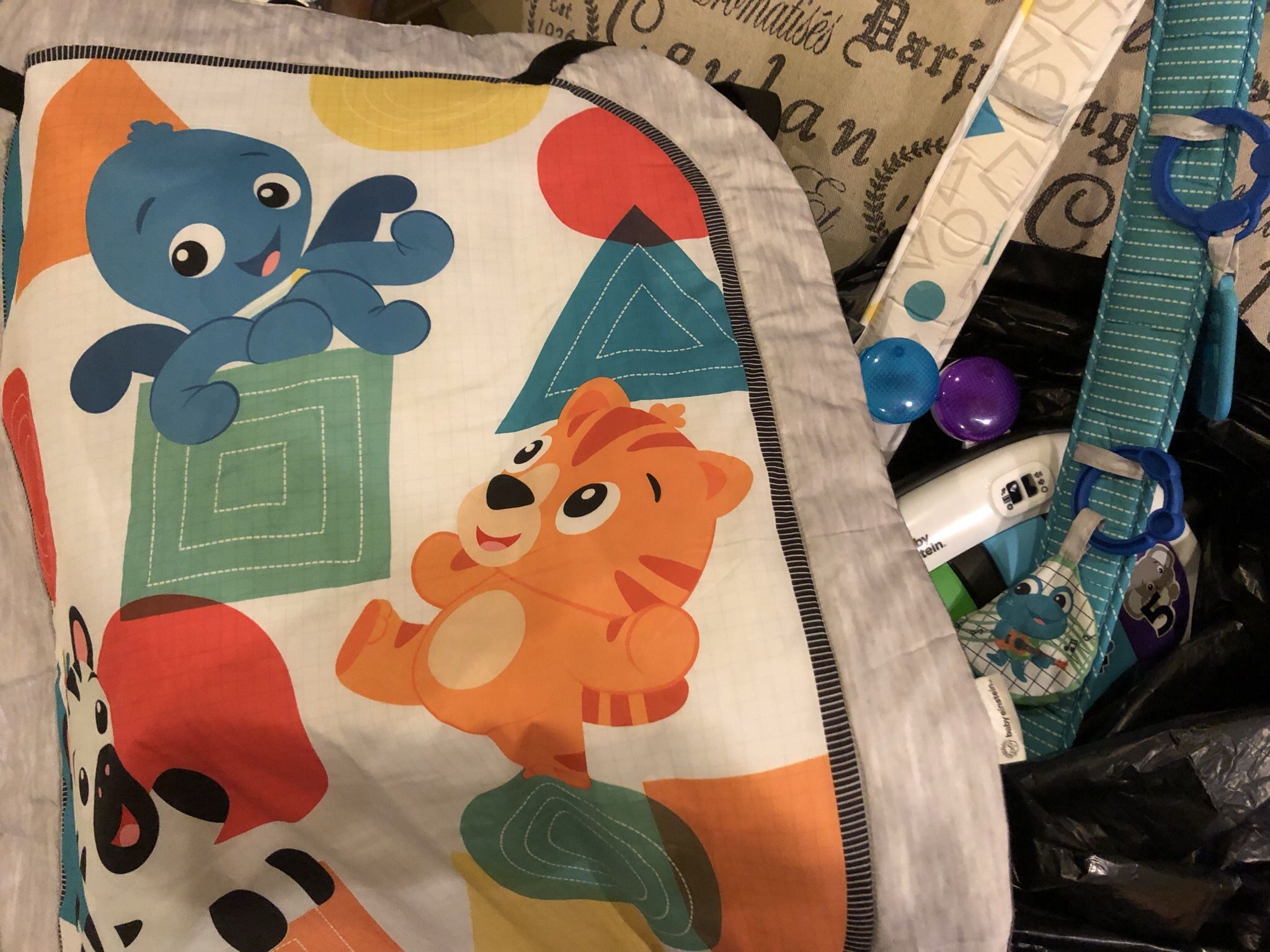 Baby Einstein Play Mat