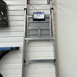 Little Giant Ladder 