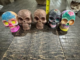Set of 5 skulls Halloween decorations