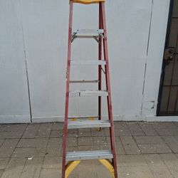 Werner Fiberglass 6 Foot Stepladder 
