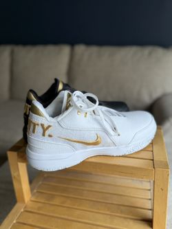 Nike Zoom Lebron Nxxt Gen Ampd Ep Equality