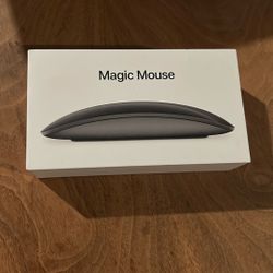 Magic Mouse 2