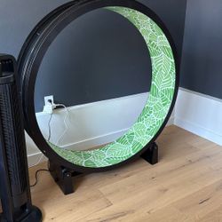 One Fast Cat (Treadmill)