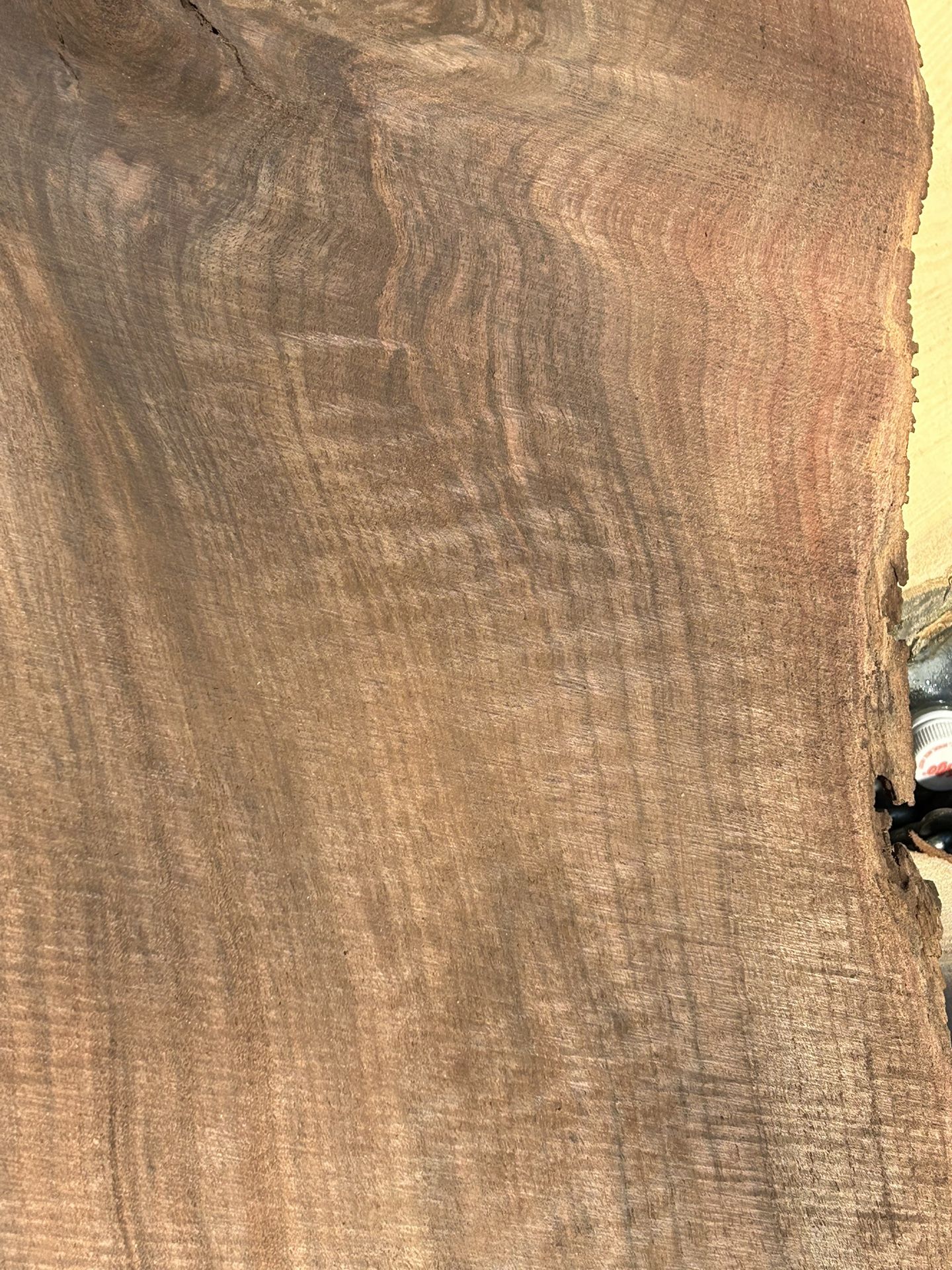 Fresh Cut Walnut Root