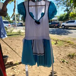 Halloween Costume Women Size M/L 