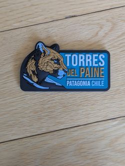 Torres Del Paine, Patagonia, Chile Fridge Magnet. 3x1.5" Puma Authentic Souvenir Purchased at The National Park 