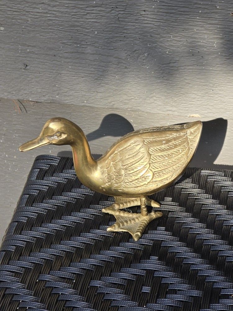 Brass Duck