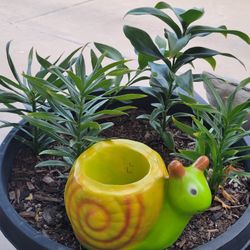 Ceramic Snail 