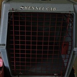 Medium Size Pet Carrier