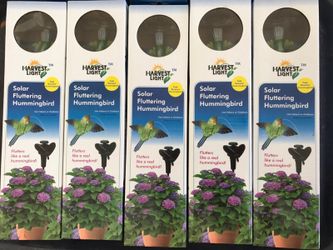 Solar Fluttering Hummingbird