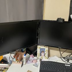 Display Monitors 