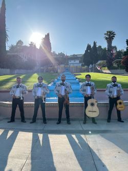 Mariachi Violin Guitar Trumpet