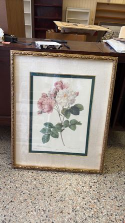 The Damask Rose