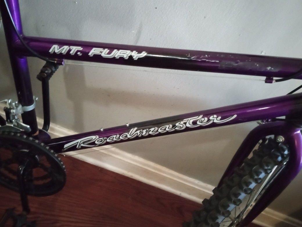 MT. FURY ROADMASTER MOUNTAIN BIKE