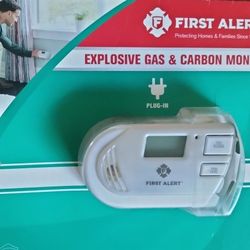 Explosive Gas And Carbon Monoxide Alarm