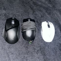 Computer Mouse’s 