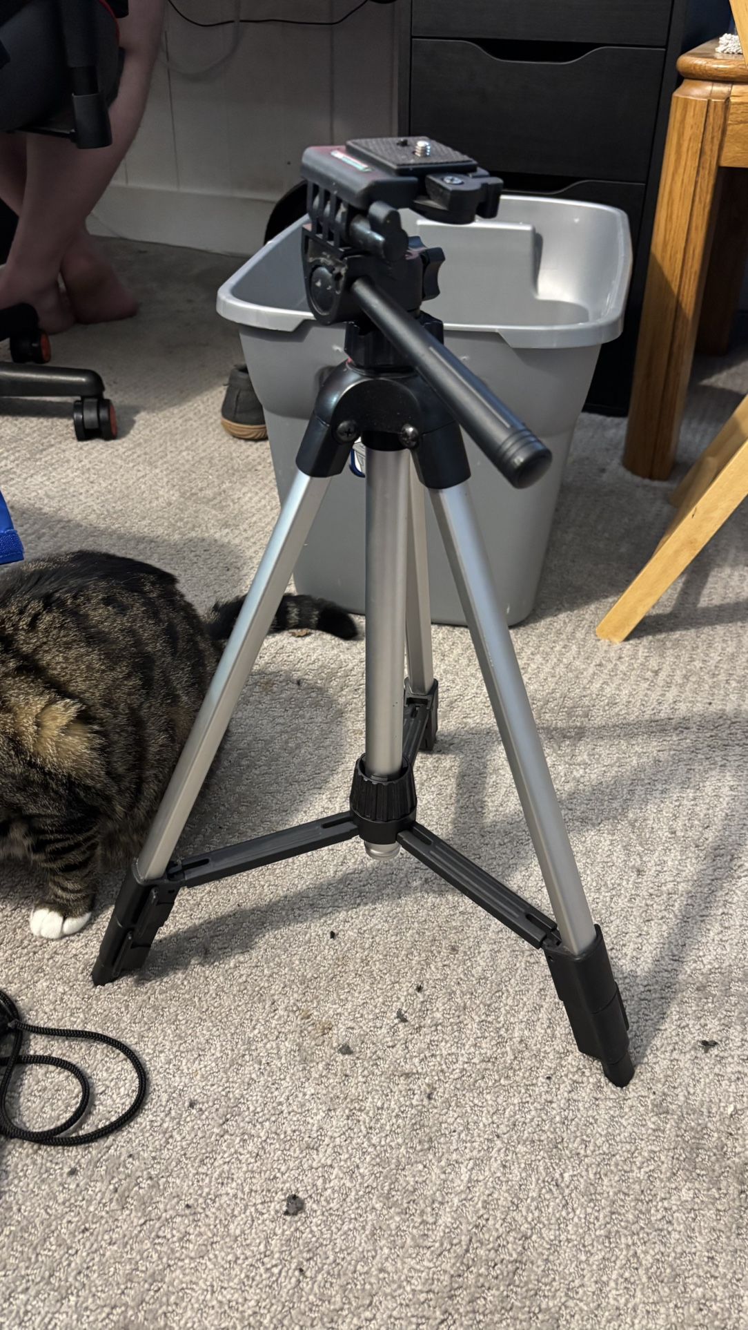 Camera Tripod