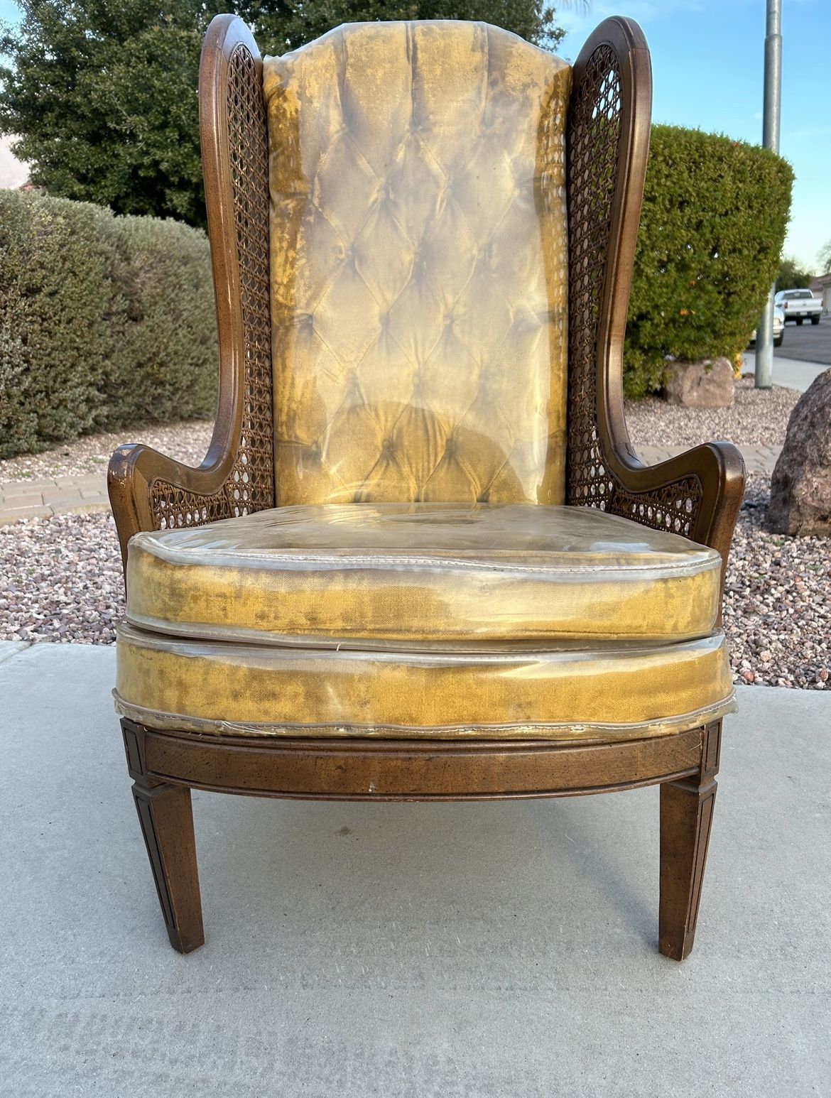 Lewittes Cane Wingback Tufted Chair!