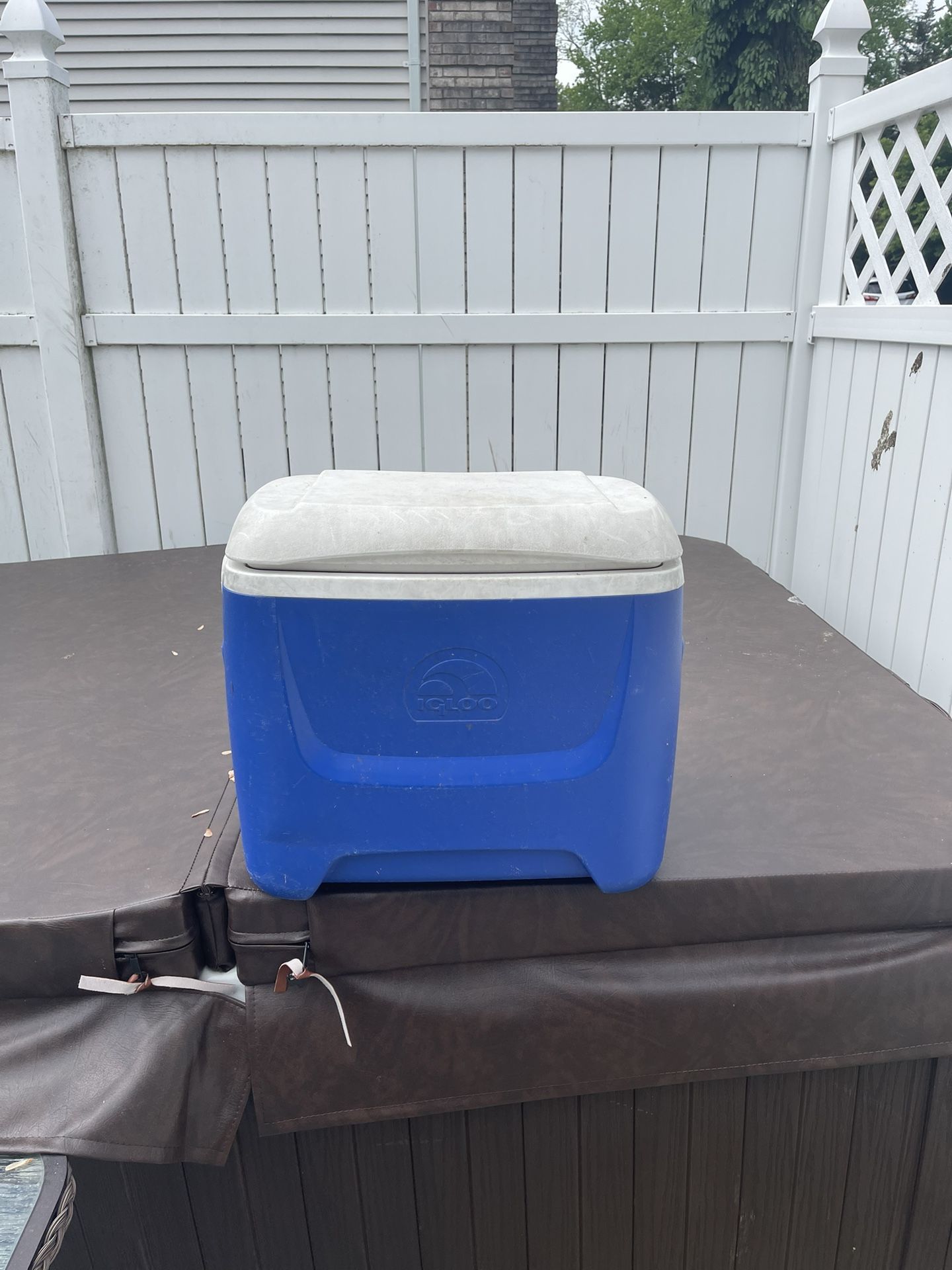 BLUE ISLAND BREEZE 28QT. COOLER WITH HANDLE.