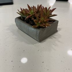 Book Planter With Succulent 