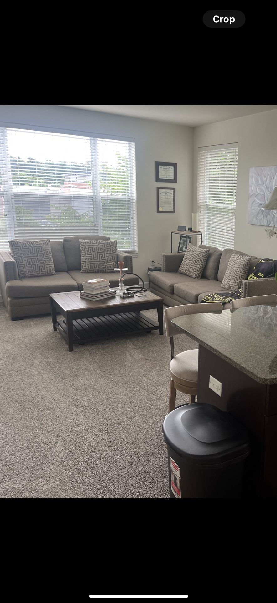 Love Seat And Couch Set