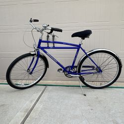 100th Anniversary 1995 Schwinn Suburban 