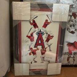LA Angels Baseball Multi-Signed Framed Photo